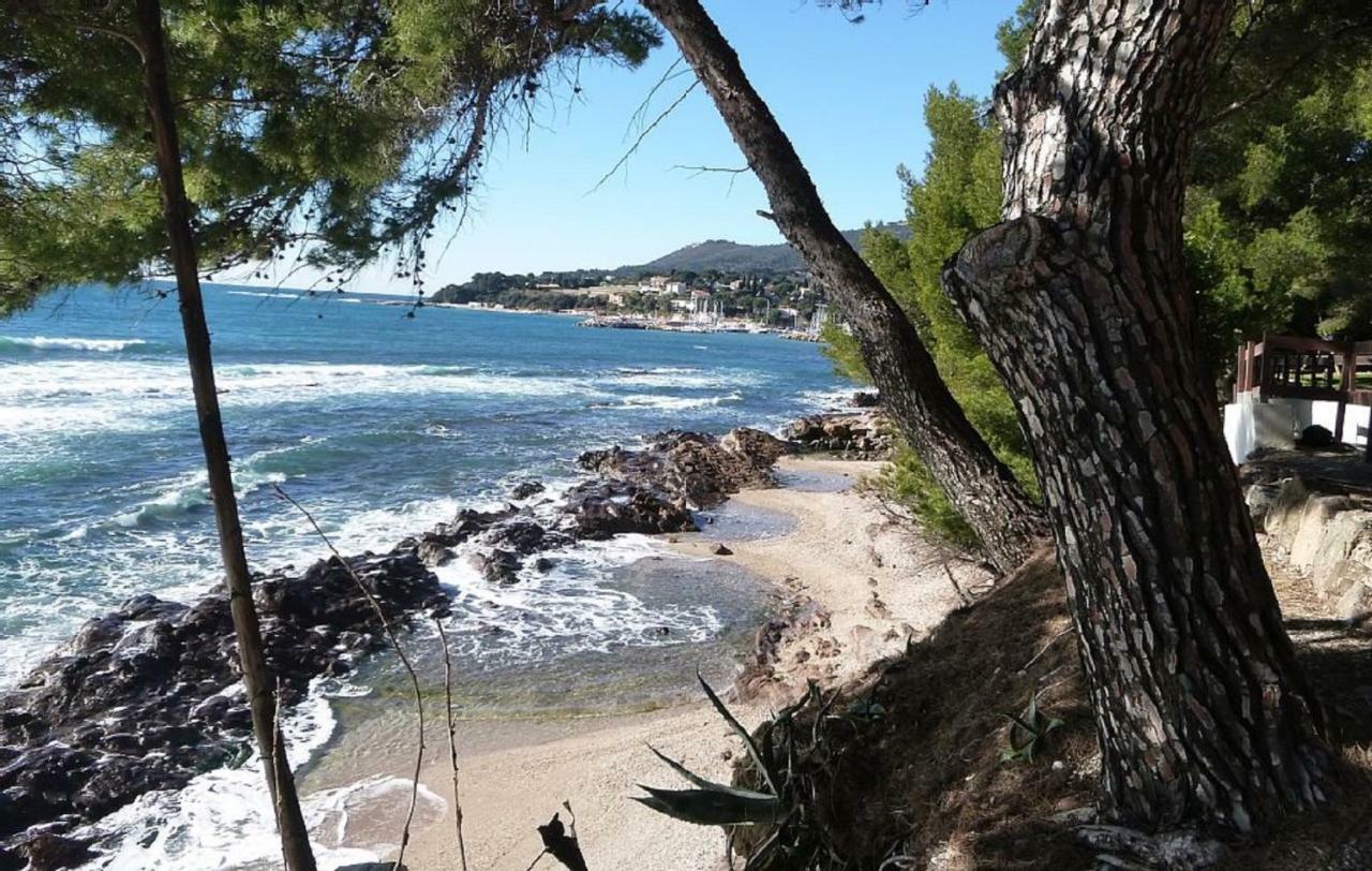 **** Beau T2 De 40 M2, Jardin De 70M2, Au Calme, A 50 Metres De La Plage Le Pradet Exteriör bild