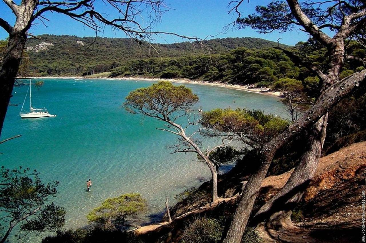**** Beau T2 De 40 M2, Jardin De 70M2, Au Calme, A 50 Metres De La Plage Le Pradet Exteriör bild