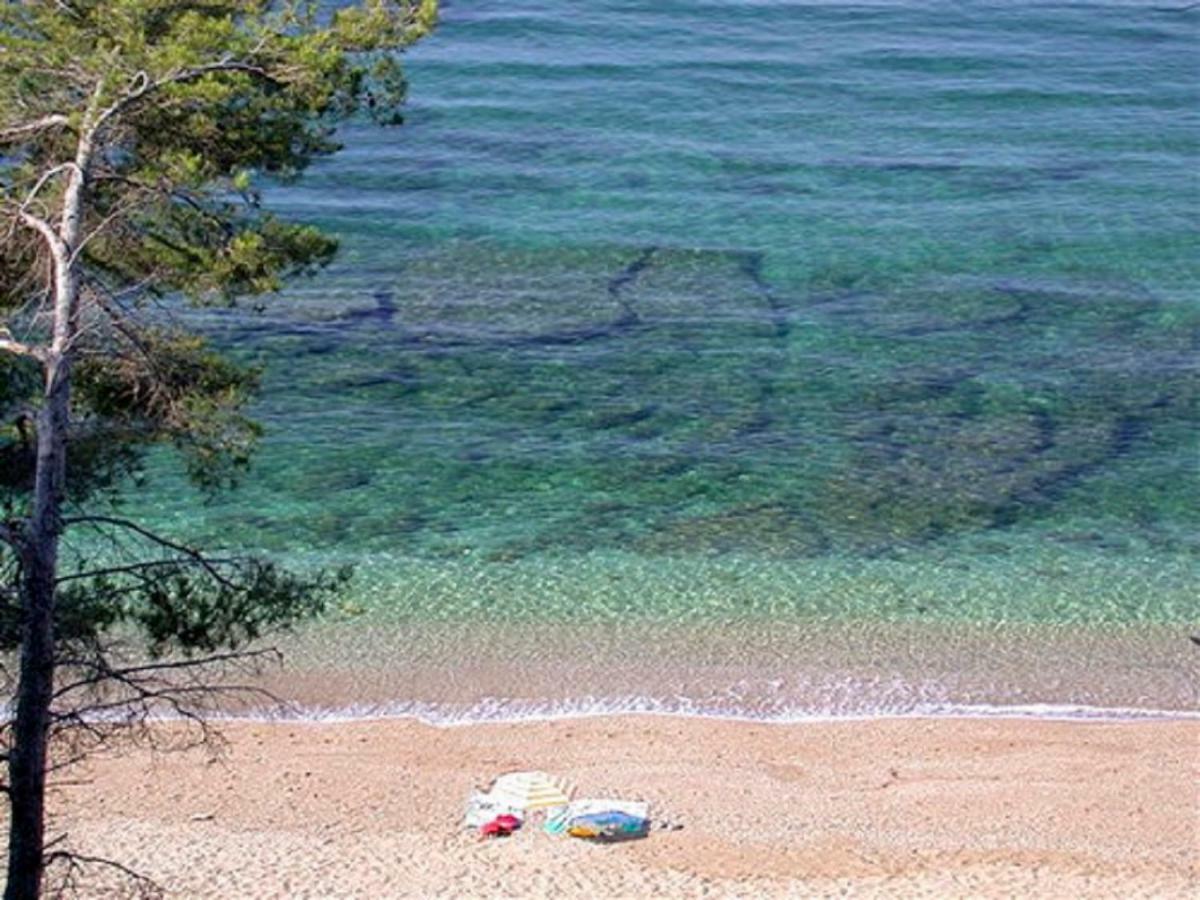 **** Beau T2 De 40 M2, Jardin De 70M2, Au Calme, A 50 Metres De La Plage Le Pradet Exteriör bild